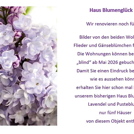 Haus Blumenglueck 2.0 * Herscheid