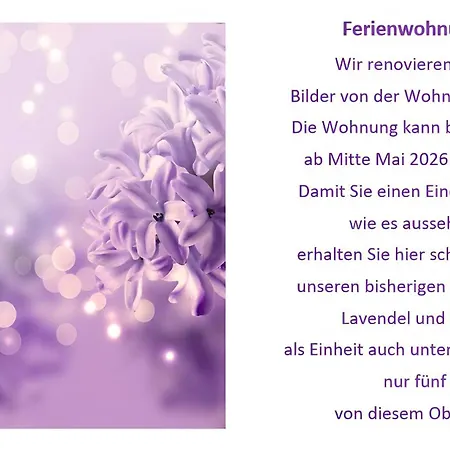 Haus Blumenglueck 2.0 بيت للعطل Herscheid