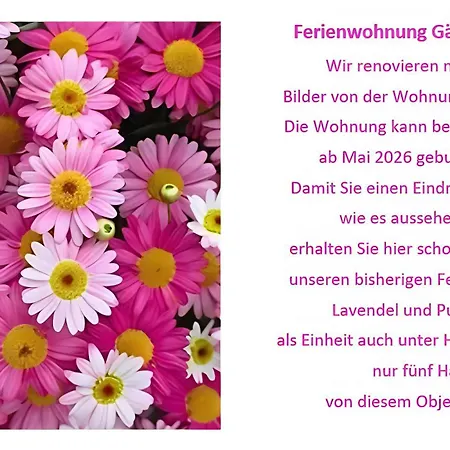 Haus Blumenglueck 2.0 * Herscheid