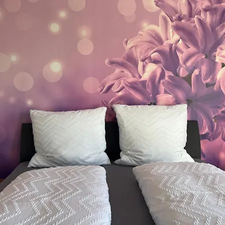 Haus Blumenglueck 2.0 بيت للعطل Herscheid