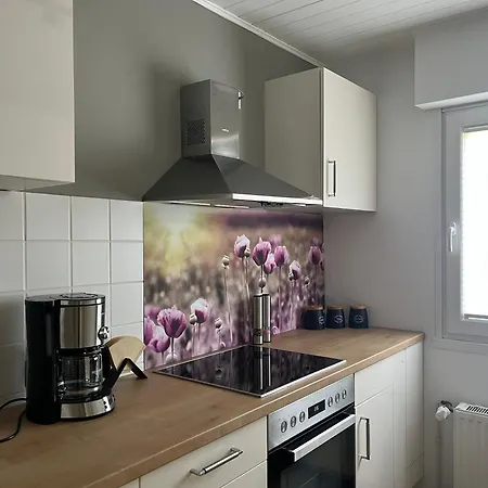 Haus Blumenglueck 2.0 بيت للعطل