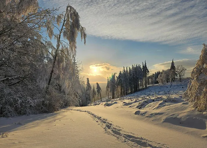 Haus Blumenglück 2 Herscheid